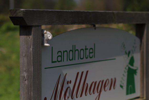 Landhotel Moellhagen Schulp bei Nortorf Екстер'єр фото